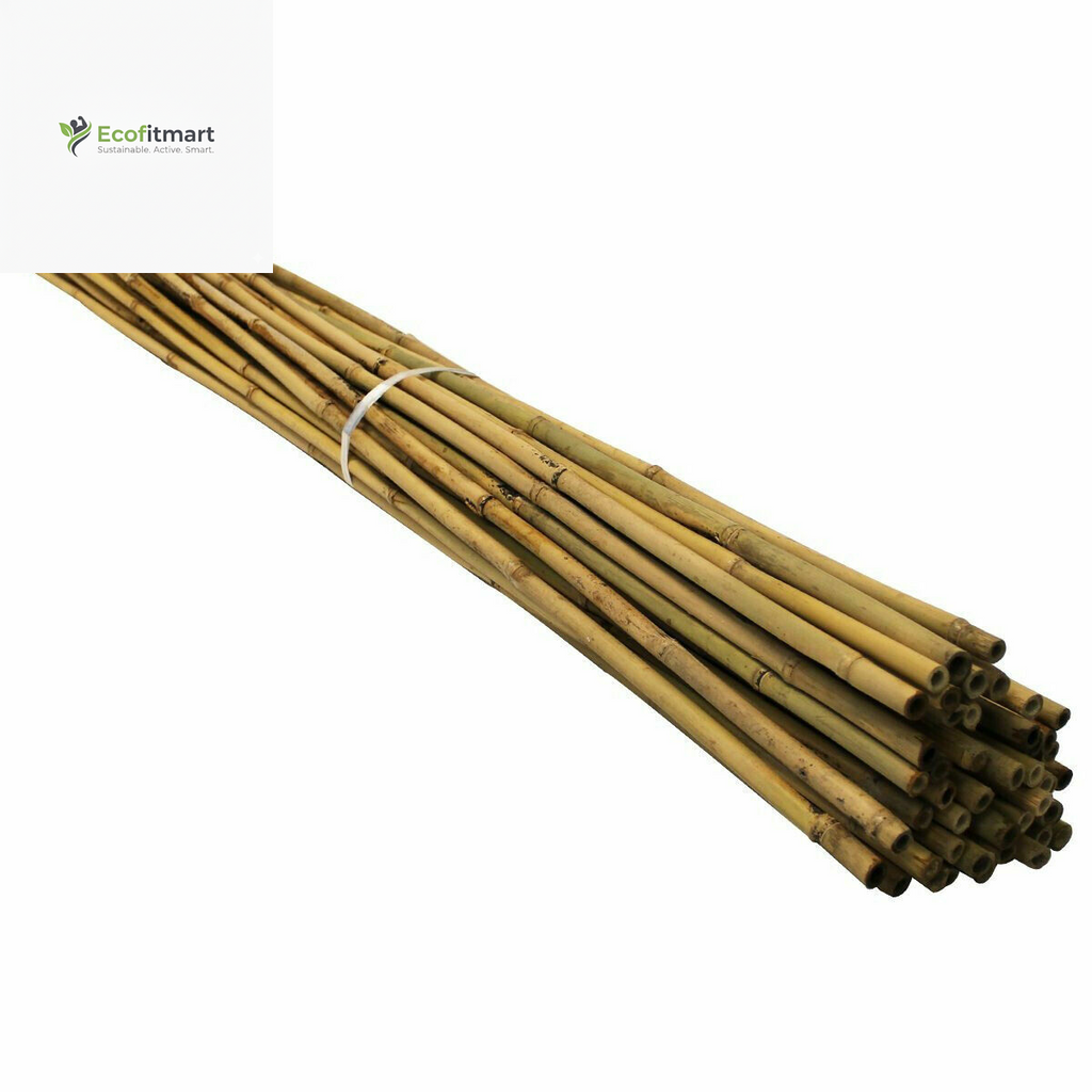 Premium 20-Pack 2FT Bamboo Garden Canes - Durable Plant Support Sticks (6-8MM)