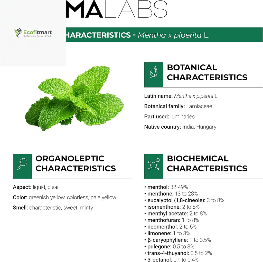 Pure Organic Peppermint Essential Oil - 10ml - 100% Ecocert Certified for Aromatherapy Bliss and Wellness